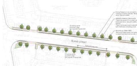 Specialized Streetscape Example